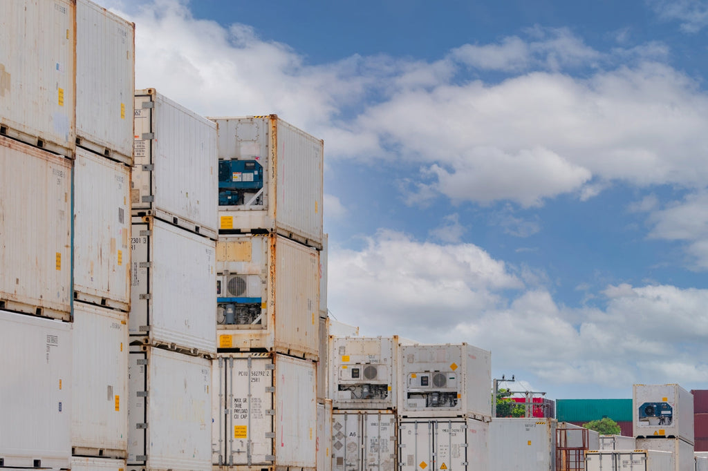 20ft Standard Working Refrigerated Shipping Container (20STRFW)